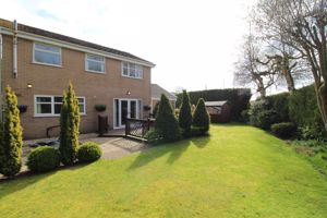 Photo 17- click for photo gallery